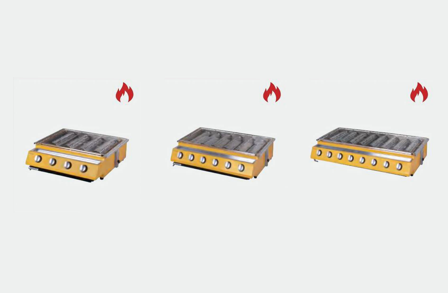 Gas Barbecue Grill